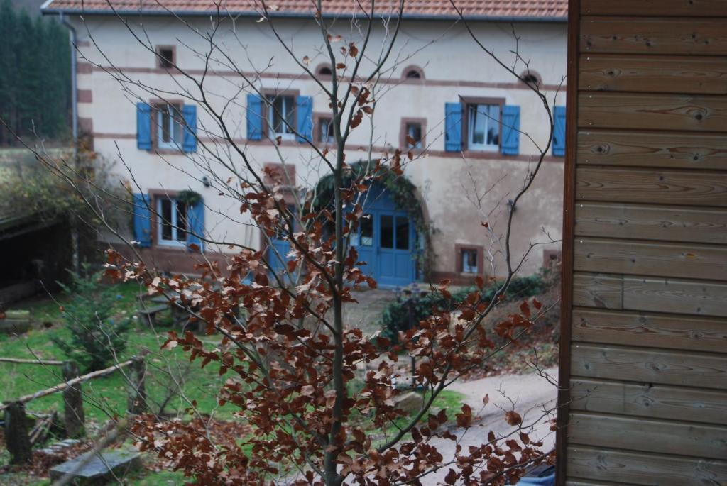 Auberge Du Ruxelier Hotell Cheniménil Eksteriør bilde